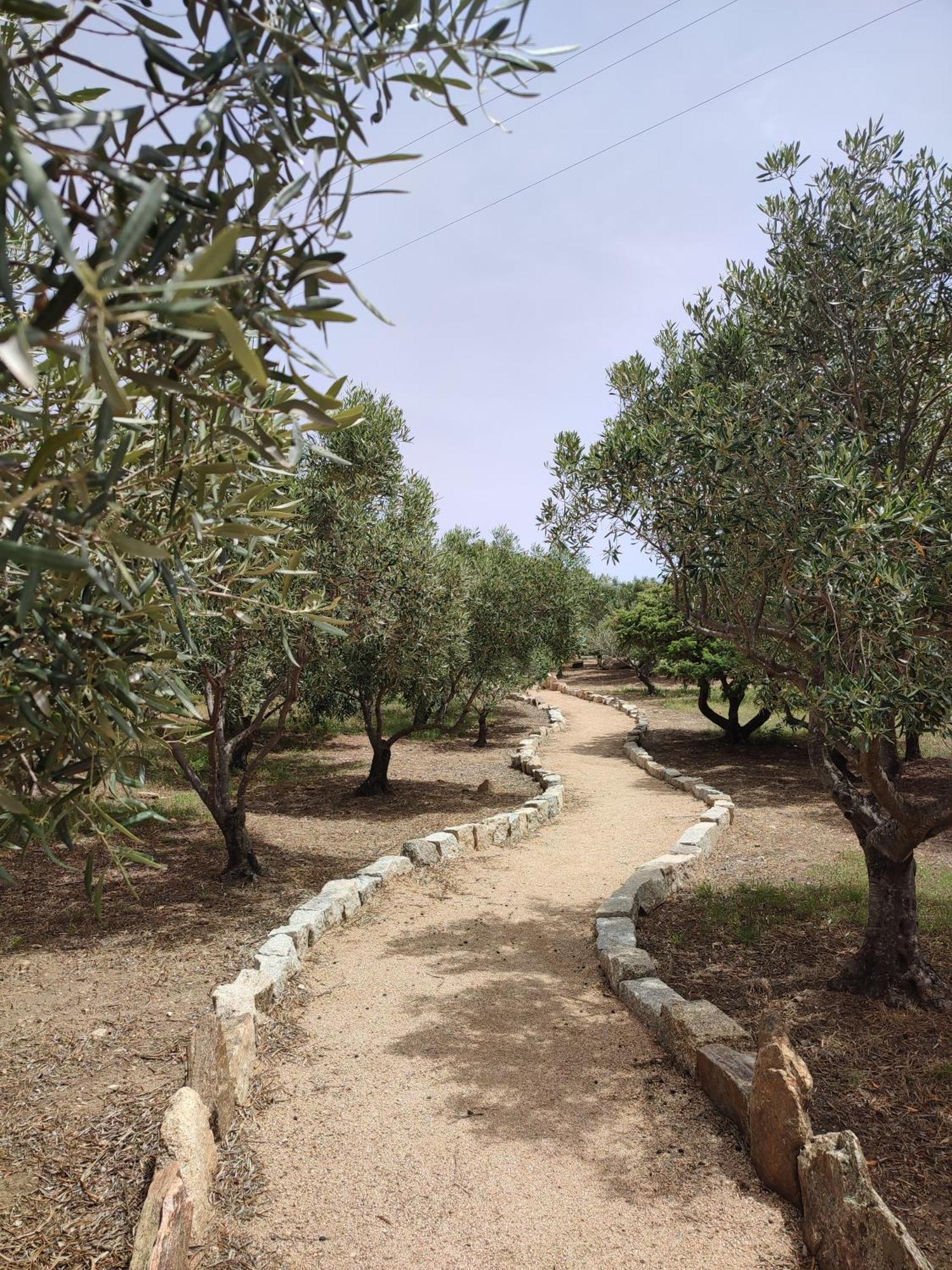 Stazzu Barecca B&B Cugnana Verde Exterior foto